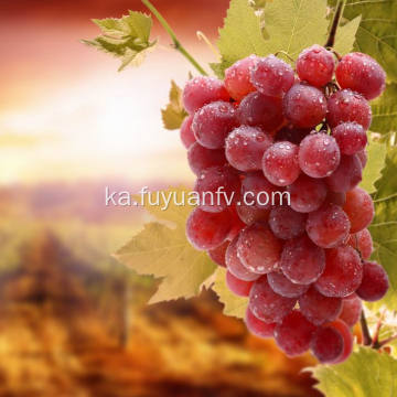 საუკეთესო ხარისხის წითელი ყურძენი